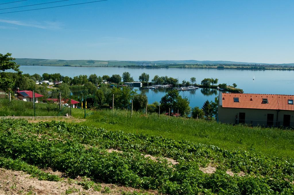 Apartman Palava - 4 Pavlov Buitenkant foto